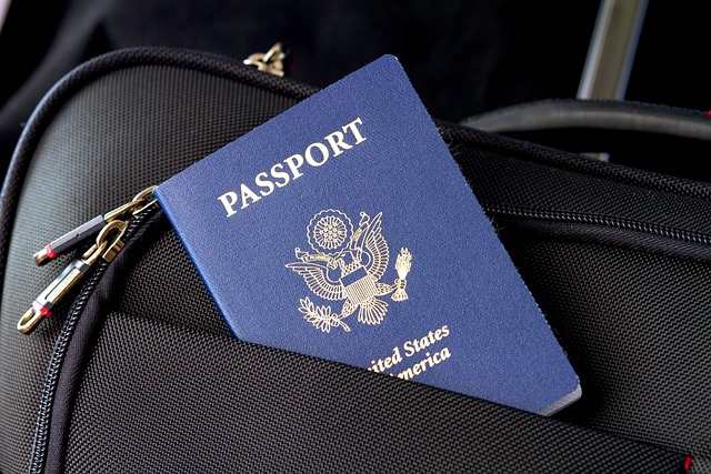 Visa Process Guarantee
